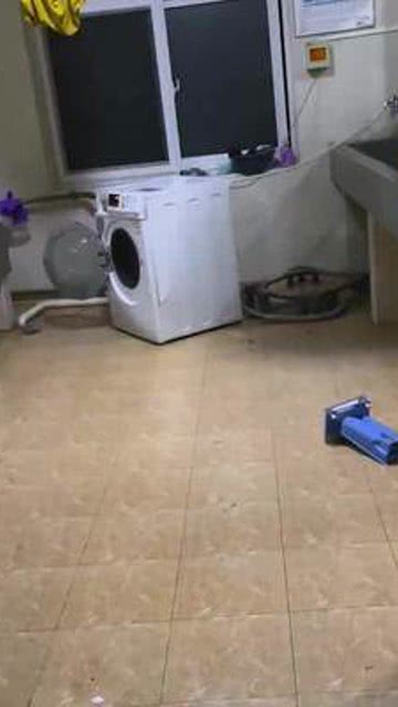 你家洗衣機(jī)也是這樣的嗎？實(shí)用好物分享 洗衣機(jī)腳墊讓共享洗衣機(jī)更安心