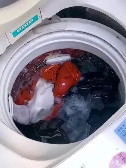 共享洗衣房的救星 一網(wǎng)打盡的毛發(fā)過(guò)濾神器